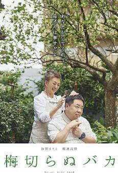 电影：不砍梅树的傻瓜