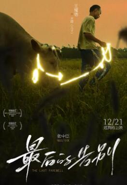 电影：最后的告别2024