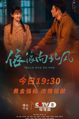 电影：依依向北风