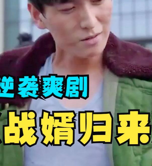 电影：战婿归来