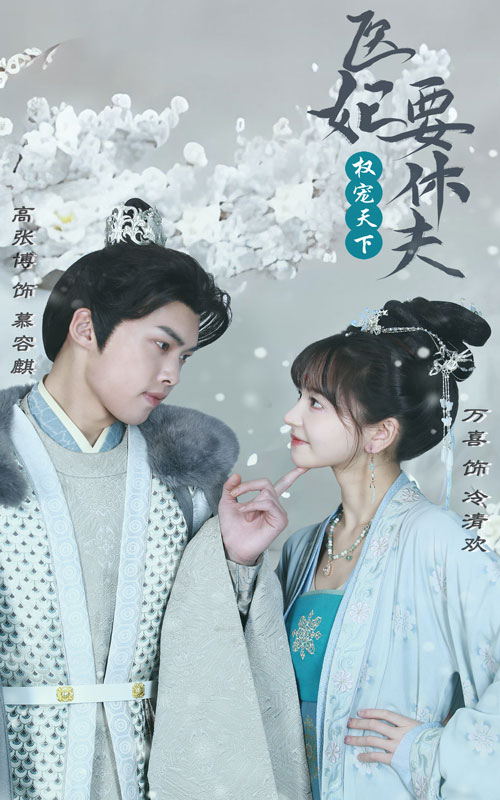 电影：权宠天下：医妃要休夫