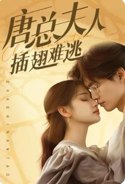 电影：唐总夫人插翅难逃