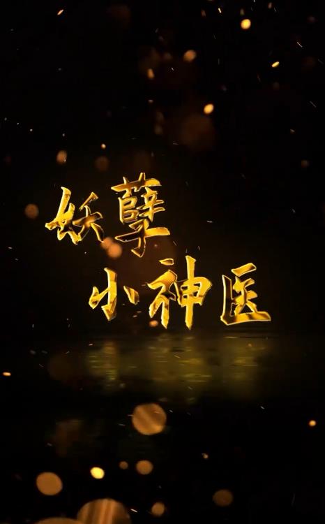 电影：回村小伙是侠医