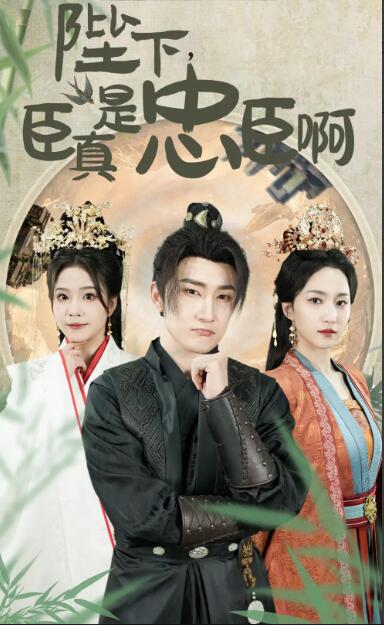 电影：陛下，臣真是忠臣啊