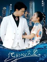 电影：他的心尖宠