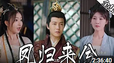 电影：凤归来兮