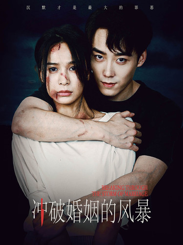 电影：冲破婚姻的风暴
