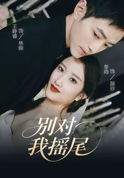 电影：别对我摇尾