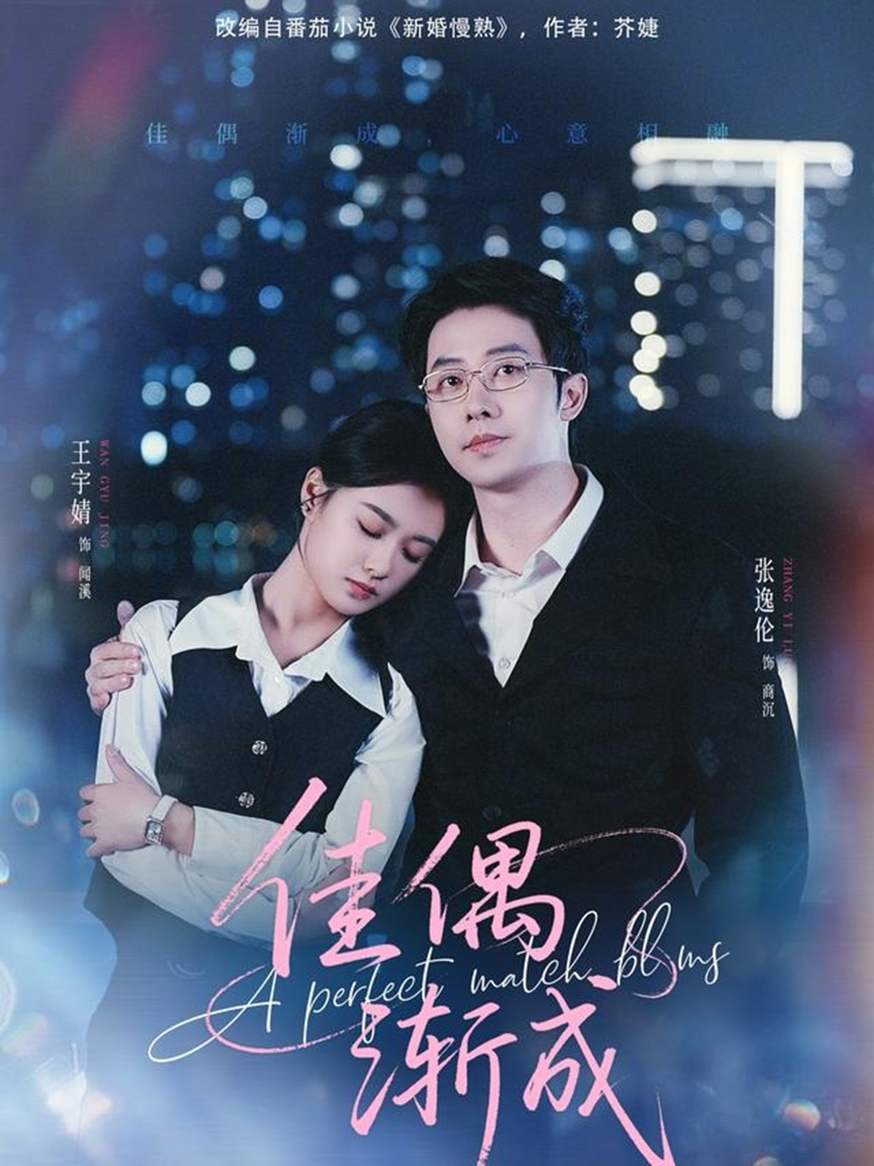 电影：佳偶渐成