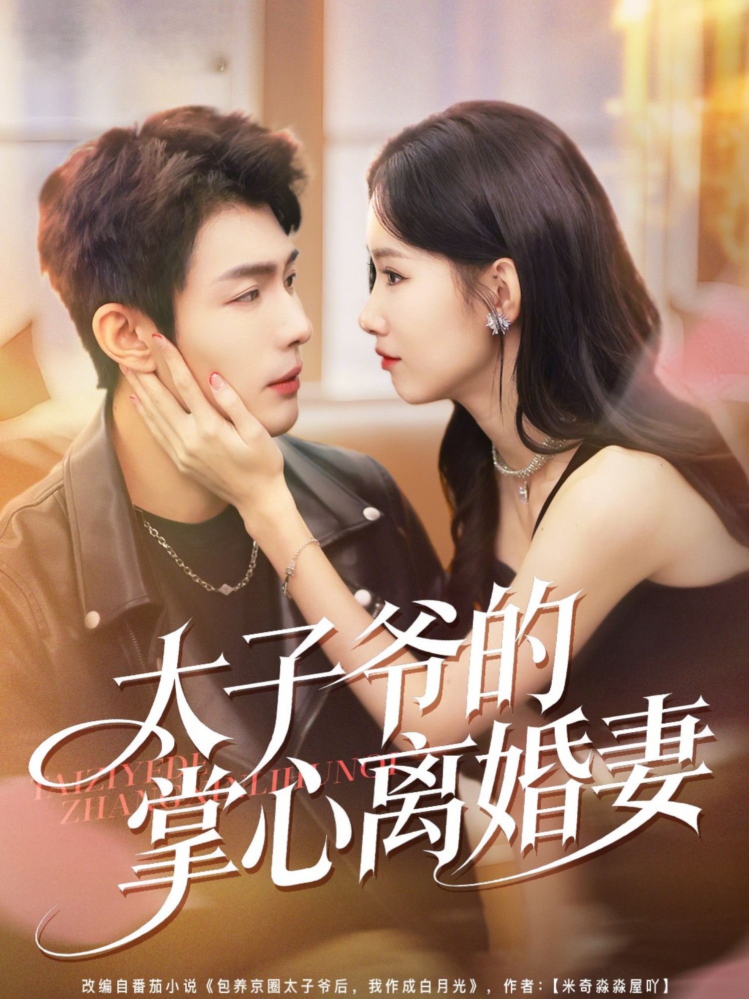 电影：太子爷的掌心离婚妻