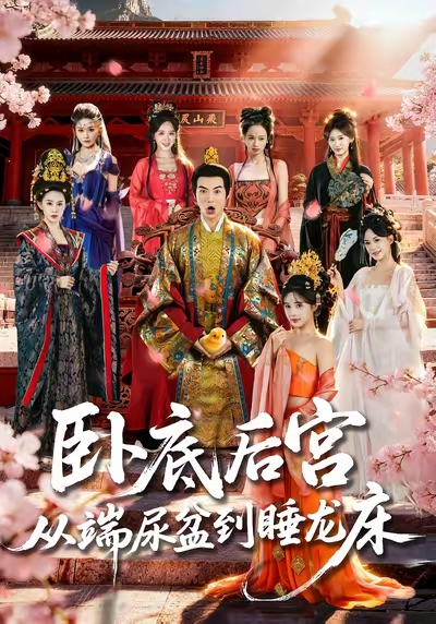 电影：卧底后宫从端尿盆到睡龙床