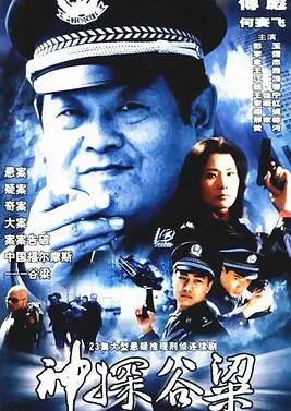 电影：神探谷梁