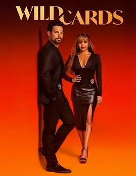 电影：百变王牌第三季