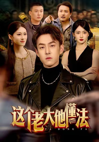 电影：这个老大他懂法