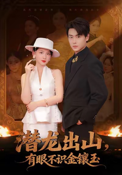 电影：潜龙出山有眼不识金镶玉