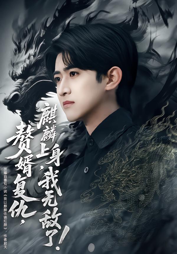 电影：赘婿复仇，麒麟上身，我无敌了