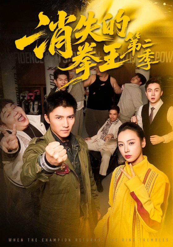 电影：消失的拳王第二季