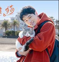 电影：旅行和我和猫