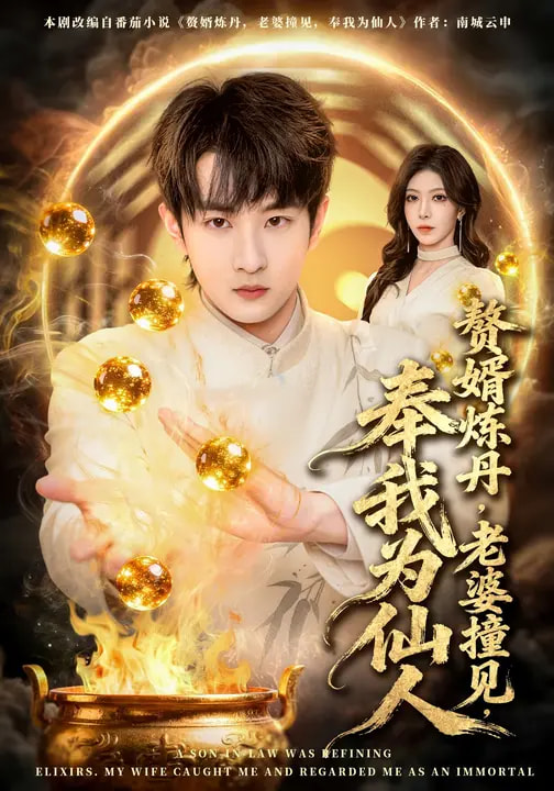 电影：赘婿炼丹，老婆撞见，奉我为仙人