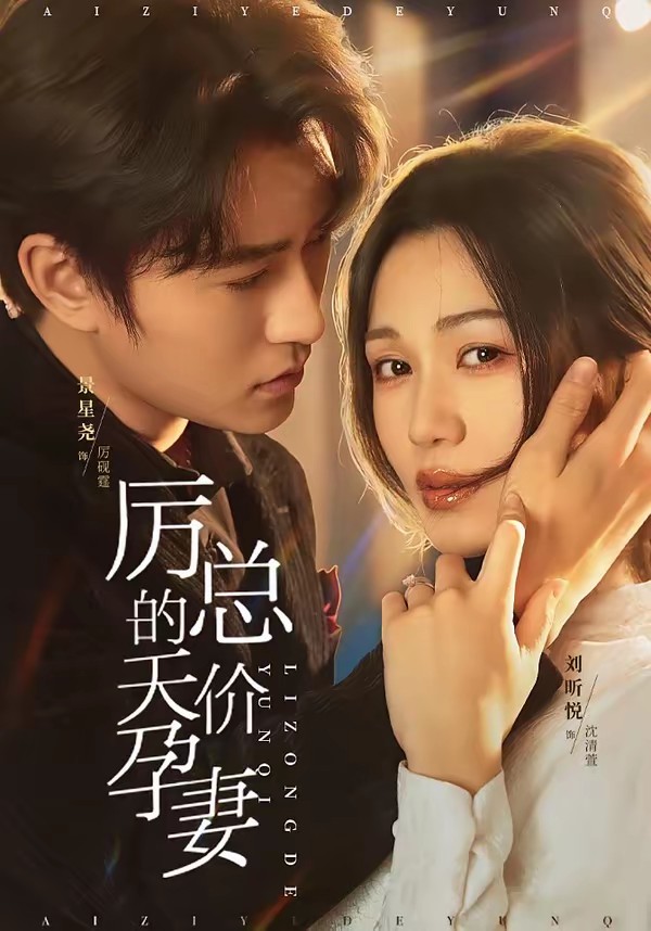 电影：厉总的天价孕妻