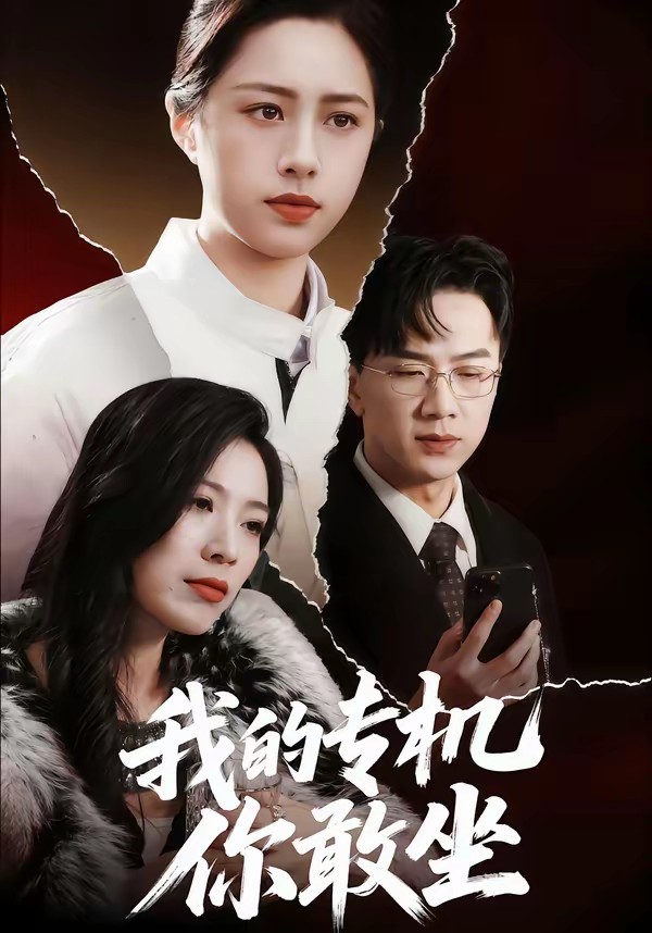 电影：我的专机你敢坐