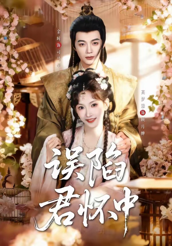 电影：误陷君怀中
