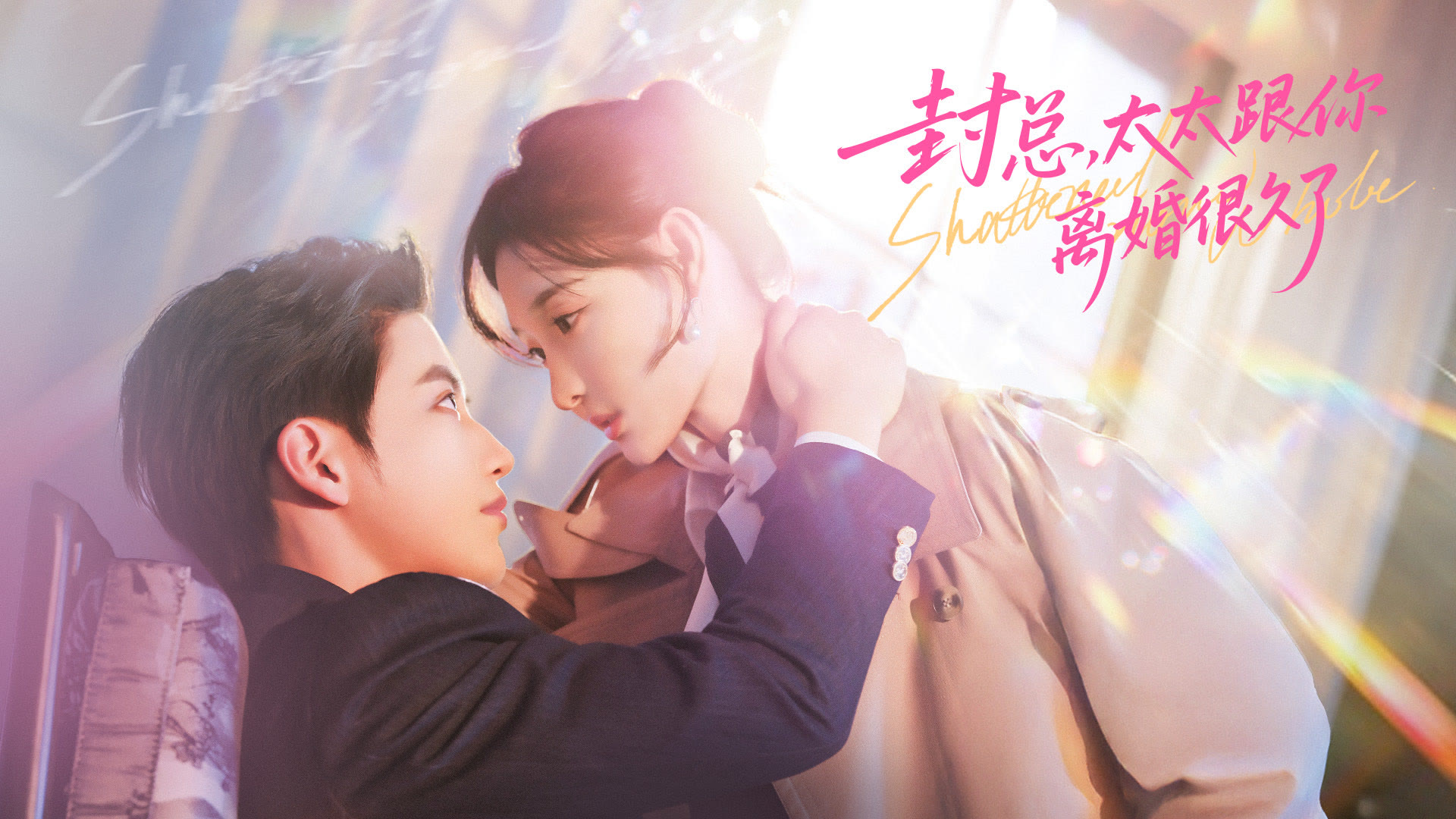 电影：封总，太太跟你离婚很久了