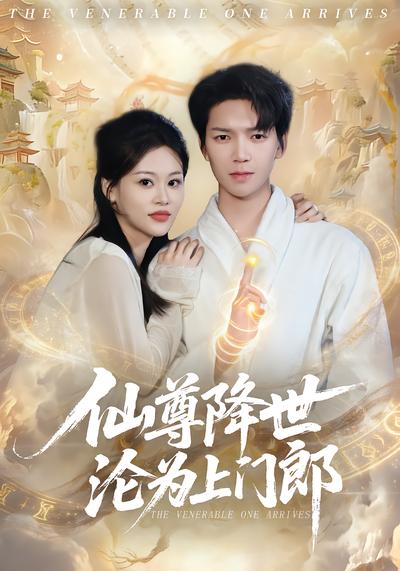 电影：仙尊降世沦为上门郎