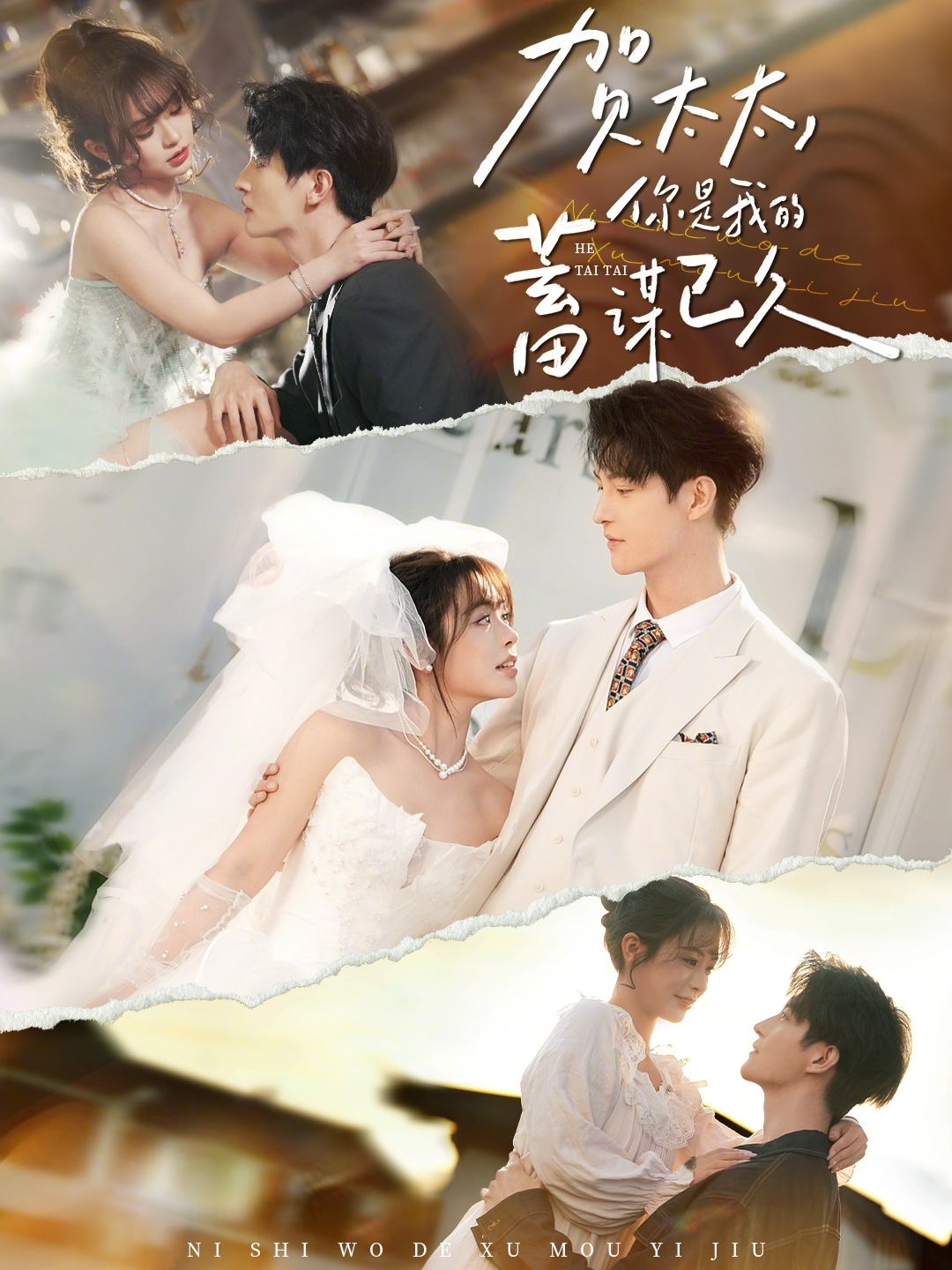 电影：贺太太，你是我的蓄谋已久