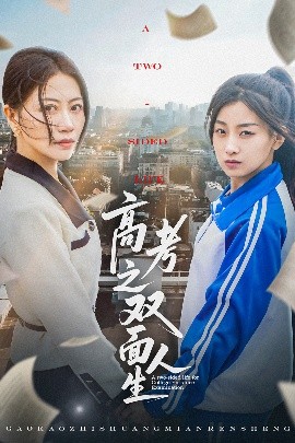 电影：高考之双面人生