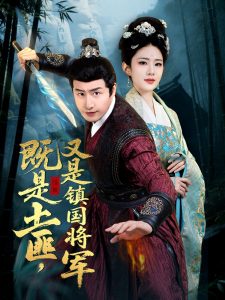 电影：既是土匪，又是镇国将军