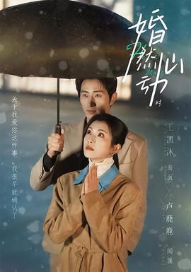电影：婚然心动时