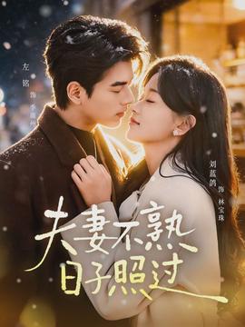 电影：夫妻不熟，日子照过