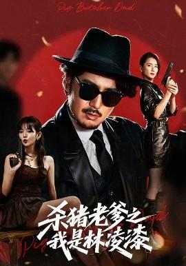 电影：杀猪老爹之我是林凌漆