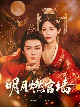 电影：明月燃宫墙