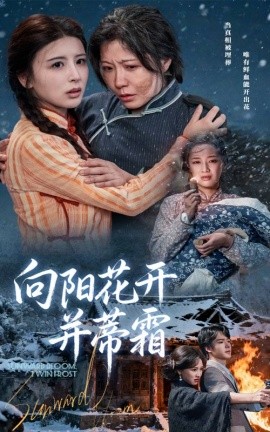 电影：向阳花开并蒂霜