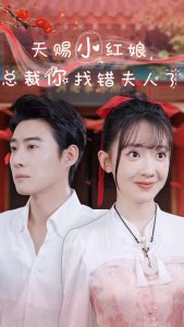 电影：天赐小红娘总裁你找错夫人了