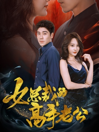 电影：女总裁的高手老公