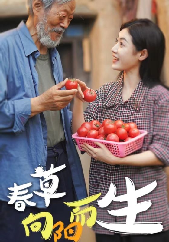 电影:春草向阳而生