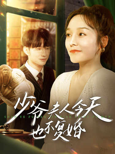 电影：少爷夫人今天也不复婚