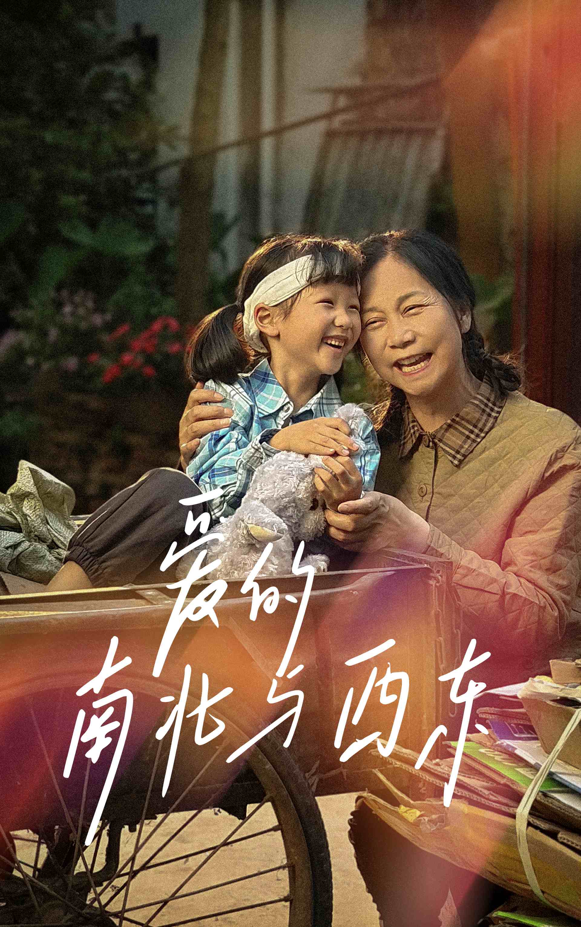 电影：爱的南北与西东