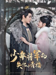 电影：少年将军的失忆小青梅