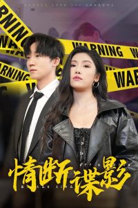 电影：情断谍影&我的特工老婆