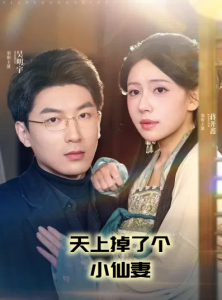 电影：天上掉了个小仙妻