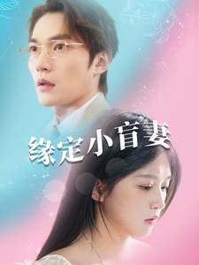 电影：缘定小盲妻