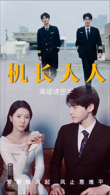 电影：机长大人，离婚请签字