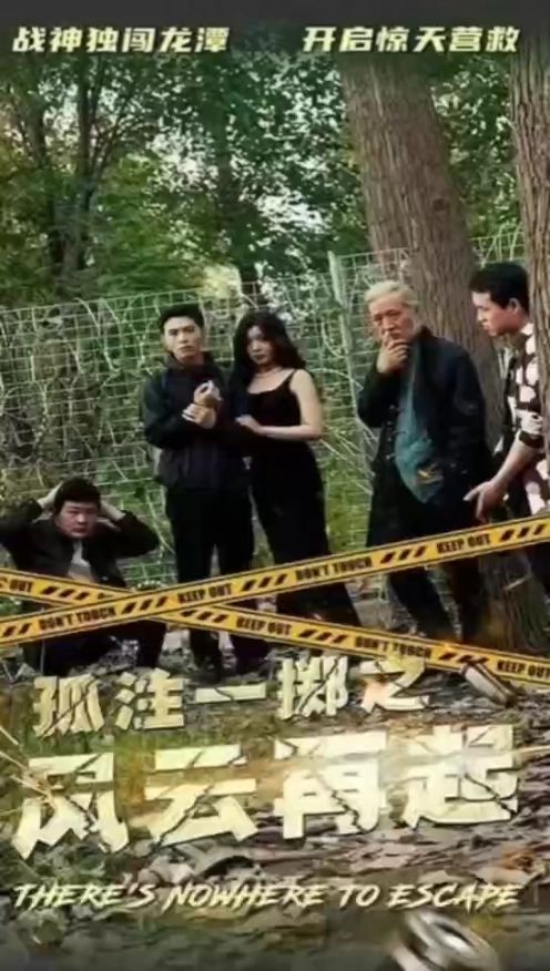 电影：孤注一掷之风云再起