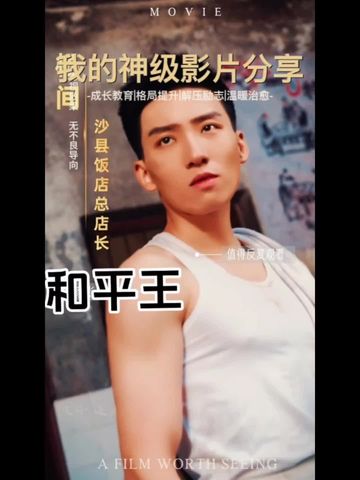 电影：和平王