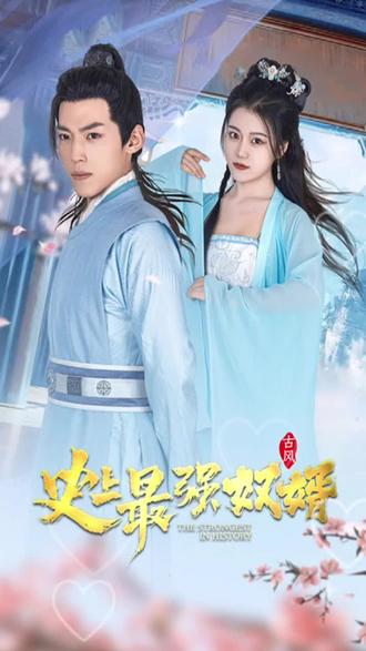 电影：史上最强奴婿