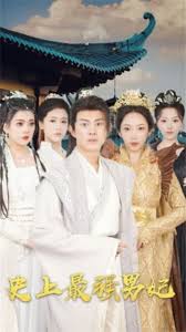 电影：史上最强男妃